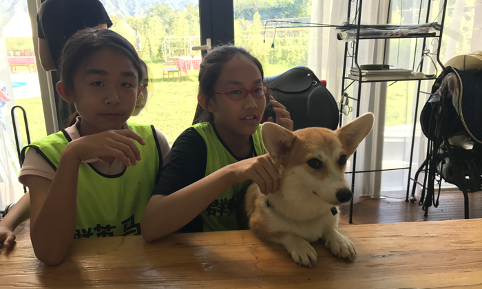 欢乐时光