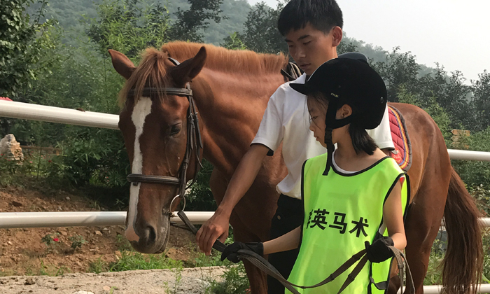 马术教学训练