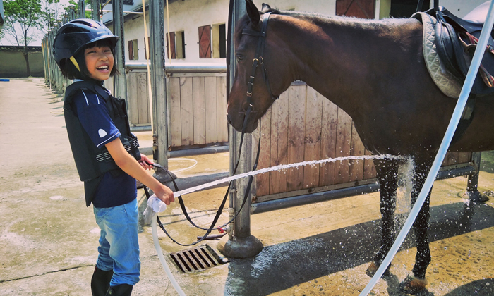 为马洗澡